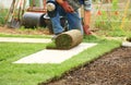 Laying sod for new lawn