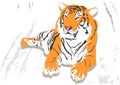 Laying tiger Royalty Free Stock Photo