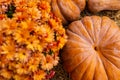 layout autumn flowers pumpkins on straw harvest holiday halloween