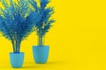 Layout of blue tinted palm tree in blue pot on yellow background. Creative background with palm tree. Home plant, indoor flower. Royalty Free Stock Photo