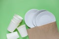The layout on a green background from paper disposable plates. Caring for the environment. Recycling and sorting of garbage. Royalty Free Stock Photo