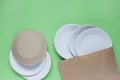 The layout on a green background from paper disposable plates. Caring for the environment. Recycling and sorting of garbage. Royalty Free Stock Photo