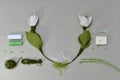 A layout of snowdrops made of wool and a small number of step-by-step tools and needlework materials