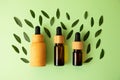 Layout from zero waste cosmetics bottles on the trendy mint background with green leafs around.Mockup for cosmetic,banner in