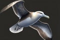 Laysan albatross (Diomedea immutabilis) in Japan, AI generated Royalty Free Stock Photo