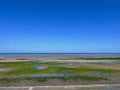 Laytown county Meath, The Irish Sea Royalty Free Stock Photo