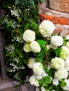 Lazarica church for Easter decorated with flowers