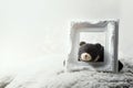 Lazy black bear holding empty picture frame. Royalty Free Stock Photo