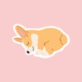 Lazy breed corgi sleeping sticker, kawaii funny little dog