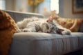 Lazy cute cat is sleeping on the sofa