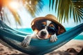 Lazy cool dog lounging in the hammock on a tropical beach, illustration generated by AI Royalty Free Stock Photo