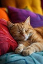 Lazy cute cat sleeping on pile of colorful pillows. The image is generated with the use of an AI.
