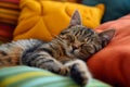 Lazy cute cat sleeping on pile of colorful pillows. The image is generated with the use of an AI.