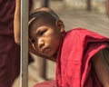 Little Myanmar Monk Royalty Free Stock Photo