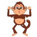 Lazy and fat monkey Royalty Free Stock Photo