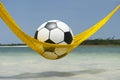 Lazy Football Soccer Ball Relaxing in Beach Hammock