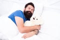 Lazy hipster relax in bedroom. good night and sweet dreams. bearded man teddy bear in bed. plush toy concept. happy Royalty Free Stock Photo