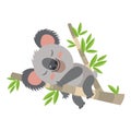 Lazy Koala Sleeping On A Branch Cartoon Vector Illustration. Animal Of Australia.