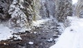 lazy mountain stream flowing through snow forest