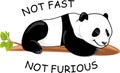 Lazy panda. Not fast. Not furious