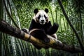 LAZY PANDA ON TREE GENERATED BY AI TOOL