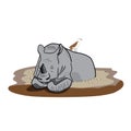 A lazy rhino Royalty Free Stock Photo