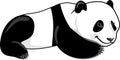 Lazy smiling panda isolated on white