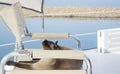 Lazy summer day on sailing boat for a cat travellind with people Royalty Free Stock Photo