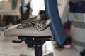 Lazy young tabby cat lying on office chair. Royalty Free Stock Photo