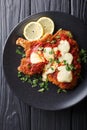 LaÃ¯Â¿Â½milanesa napolitana - homemade veal cutlet with mozzarella ch Royalty Free Stock Photo