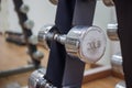 20lb dumbbell on rack in workout room