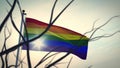 Lbgt rainbow flag represents homosexual or lesbian - video animation