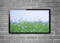 LCD tv with flower meadow on screen hanging on brick wall