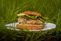 LCHF burger in grass Royalty Free Stock Photo