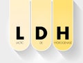 LDH - lactic dehydrogenase acronym, medical concept background Royalty Free Stock Photo