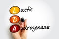 LDH lactic dehydrogenase - enzyme found in almost all body tissues, acronym text