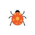 Ldybug vector illustration