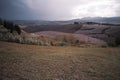 le colline di lajatico