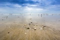 Le Havre beach, Normandy, Royalty Free Stock Photo