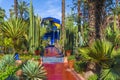 Le Jardin Majorelle, amazing tropical garden in Marrakech Royalty Free Stock Photo