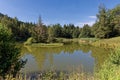 Le Marais, a pond surrounded by forest in Chamrousse mountain range Royalty Free Stock Photo