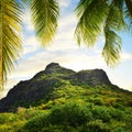 Le Morne Brabant mountain and leaves of coconut palm tree at sunrise. Mauritius island.