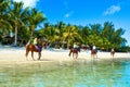 Tourists on horses walking along the coast of the Indian Ocean