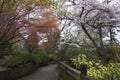 Trees flowers Leach Botanical Garden Royalty Free Stock Photo