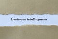 Business intelligence Royalty Free Stock Photo