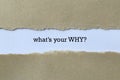What`s your why on white Royalty Free Stock Photo
