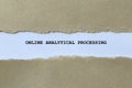 online analytical processing on white paper