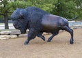 The lead bison bull in the Tulsa Herd Grand Monument at LaFortune Park in Tulsa, Oklahoma.