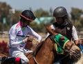 Lead Pony and Race Horse