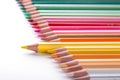 Leader concept with one pencil standing out of crowd of other pencils Royalty Free Stock Photo